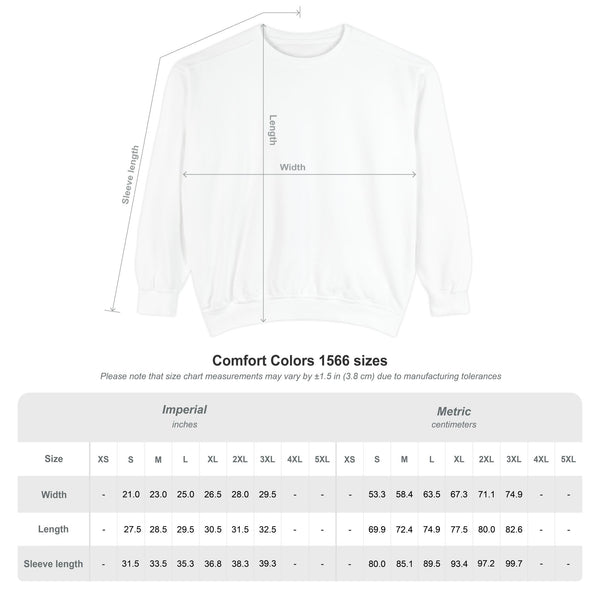 Retro Rodeo "I Didn't Text You, Tequila Texted You" Sweatshirt